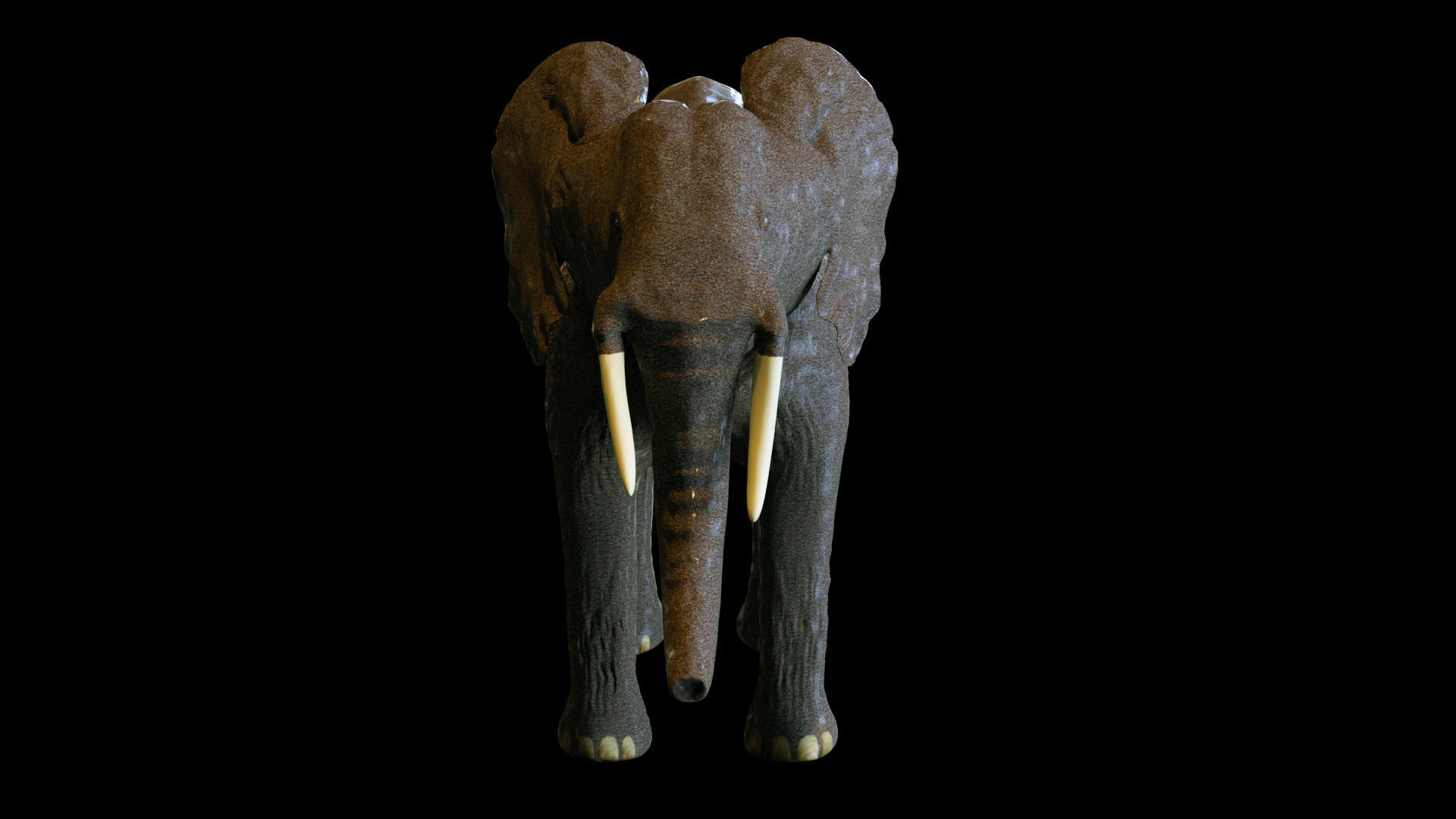  Elephant African PBR texture 3D model_2