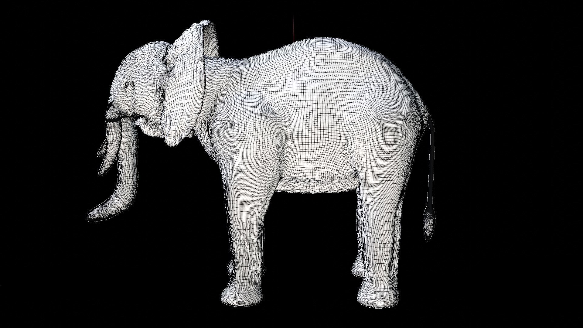  Elephant African PBR texture 3D model_9