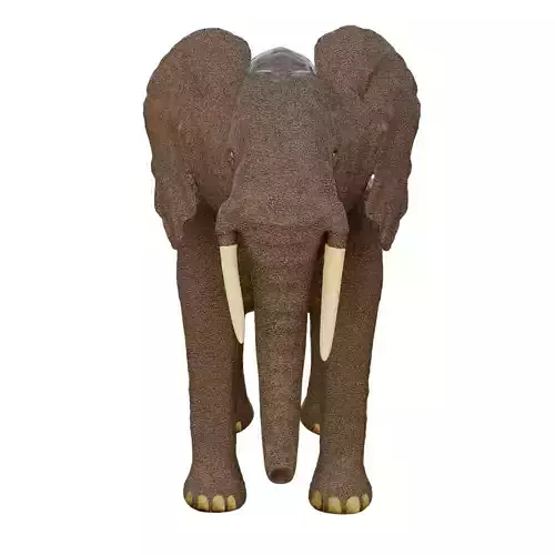  Elephant African PBR texture