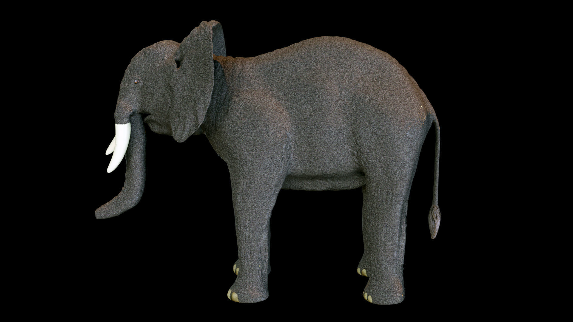  Elephant African PBR texture 3D model_5