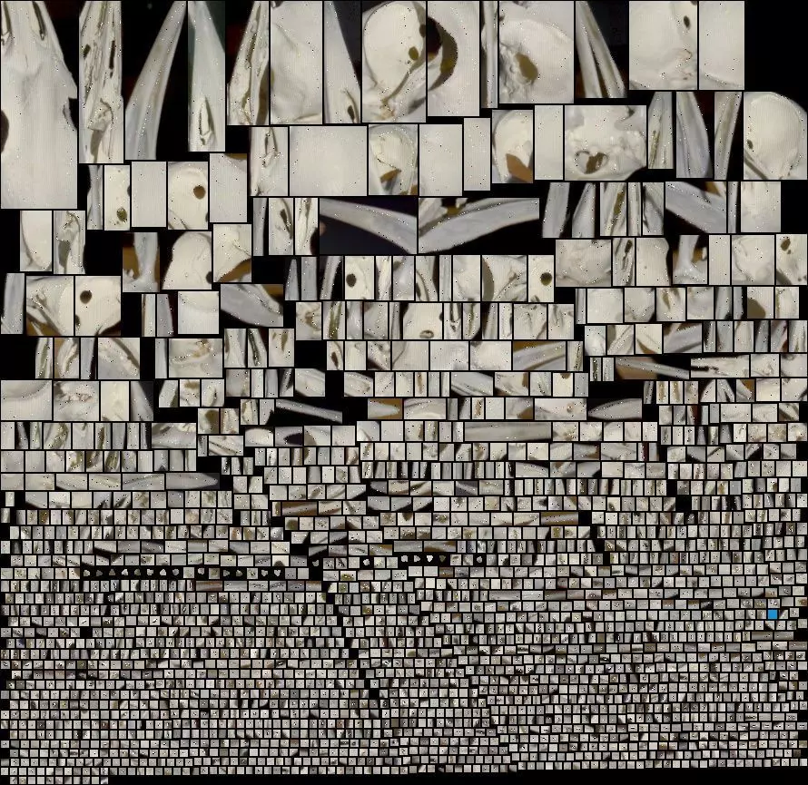 European green woodpecker Picus viridis 3D print model_0