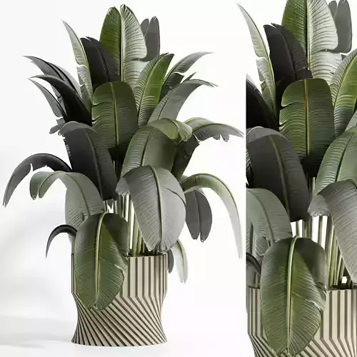 indoor plant set 01