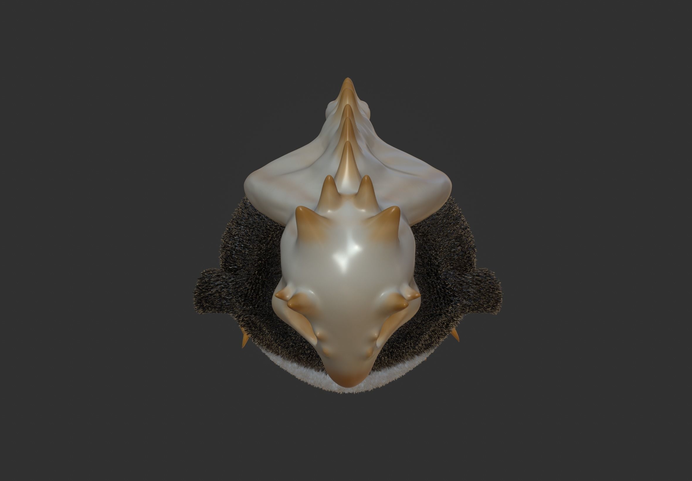 Argon Low-poly 3D model_6