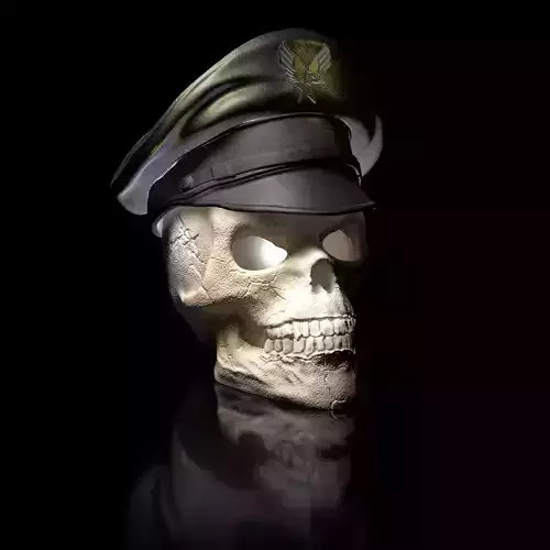 Skull with Airforce Cap Cap removable as a lid