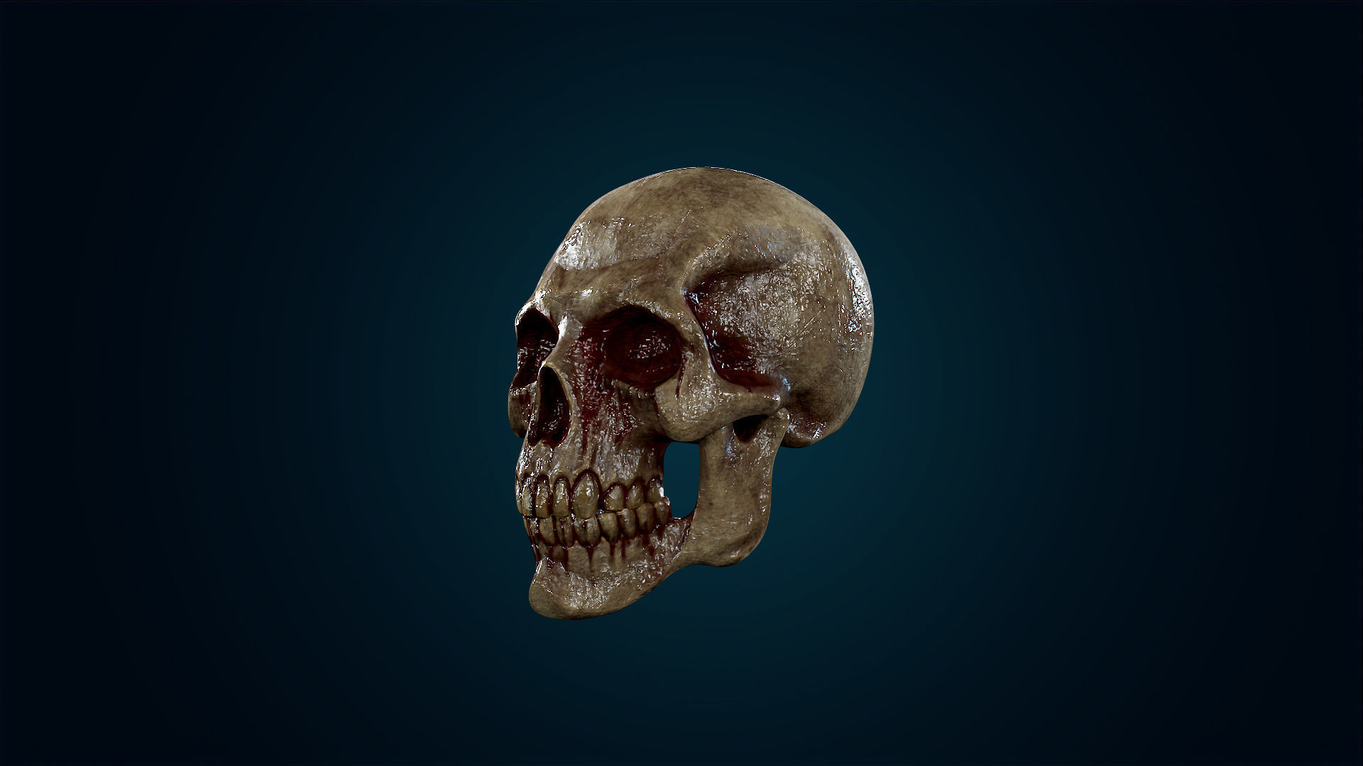 Human Skeleton Skull - Bloody - Lowpoly - Game Ready Low-poly 3D model_18