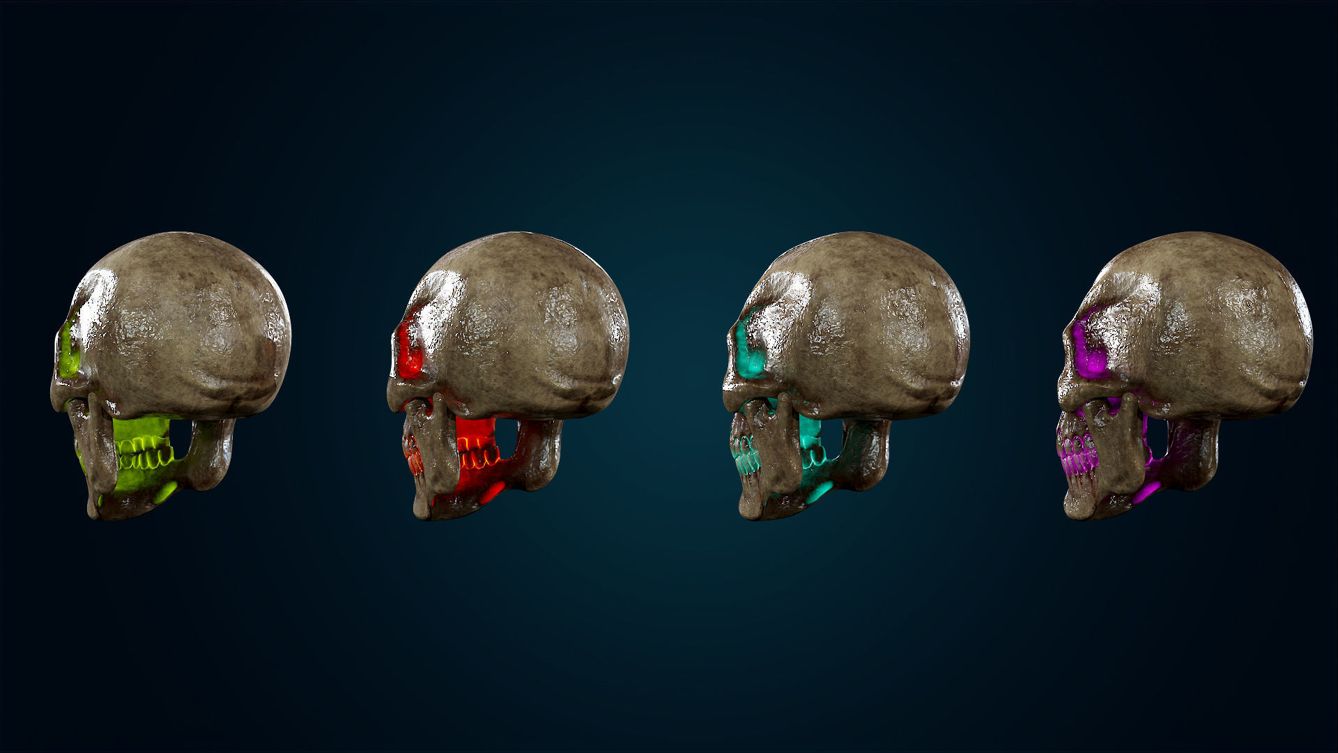 Human Skeleton Skull - Bloody - Lowpoly - Game Ready Low-poly 3D model_25