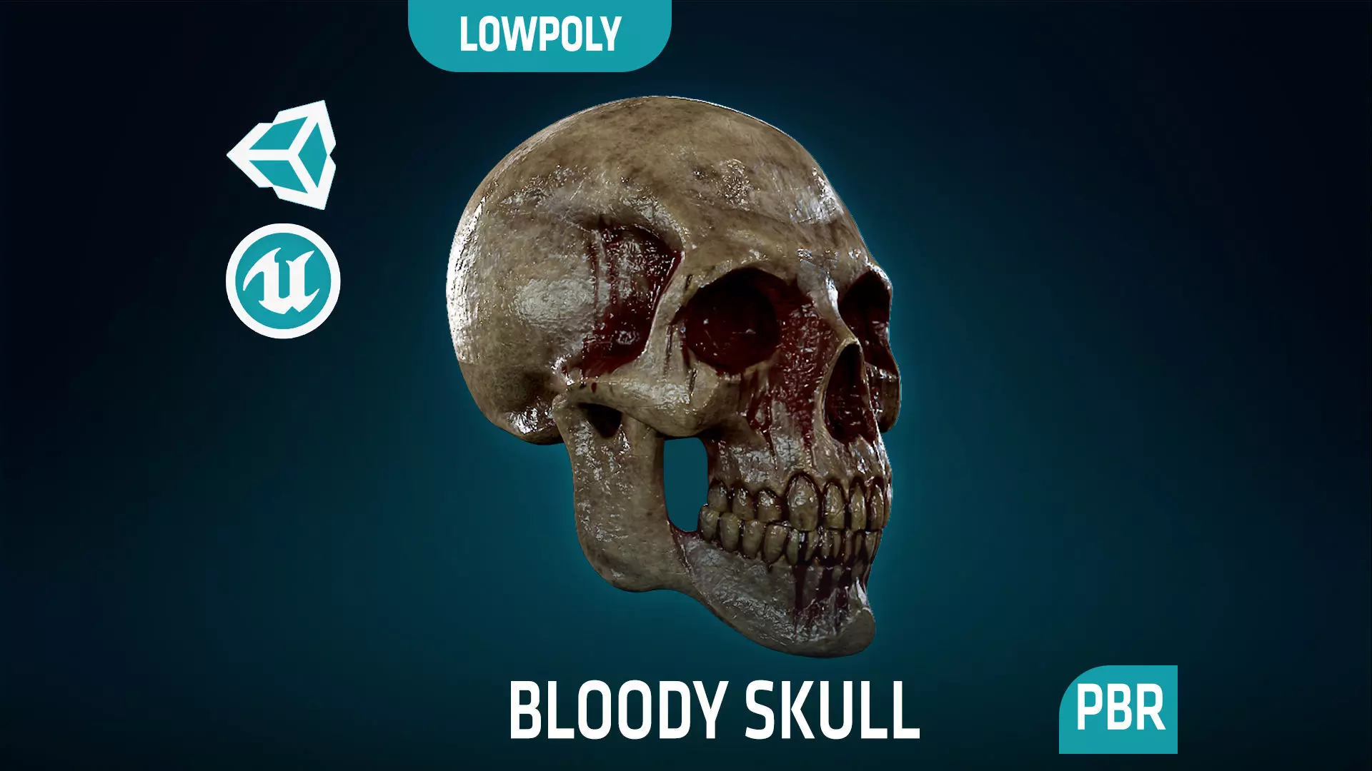 Human Skeleton Skull - Bloody - Lowpoly - Game Ready Low-poly 3D model_0