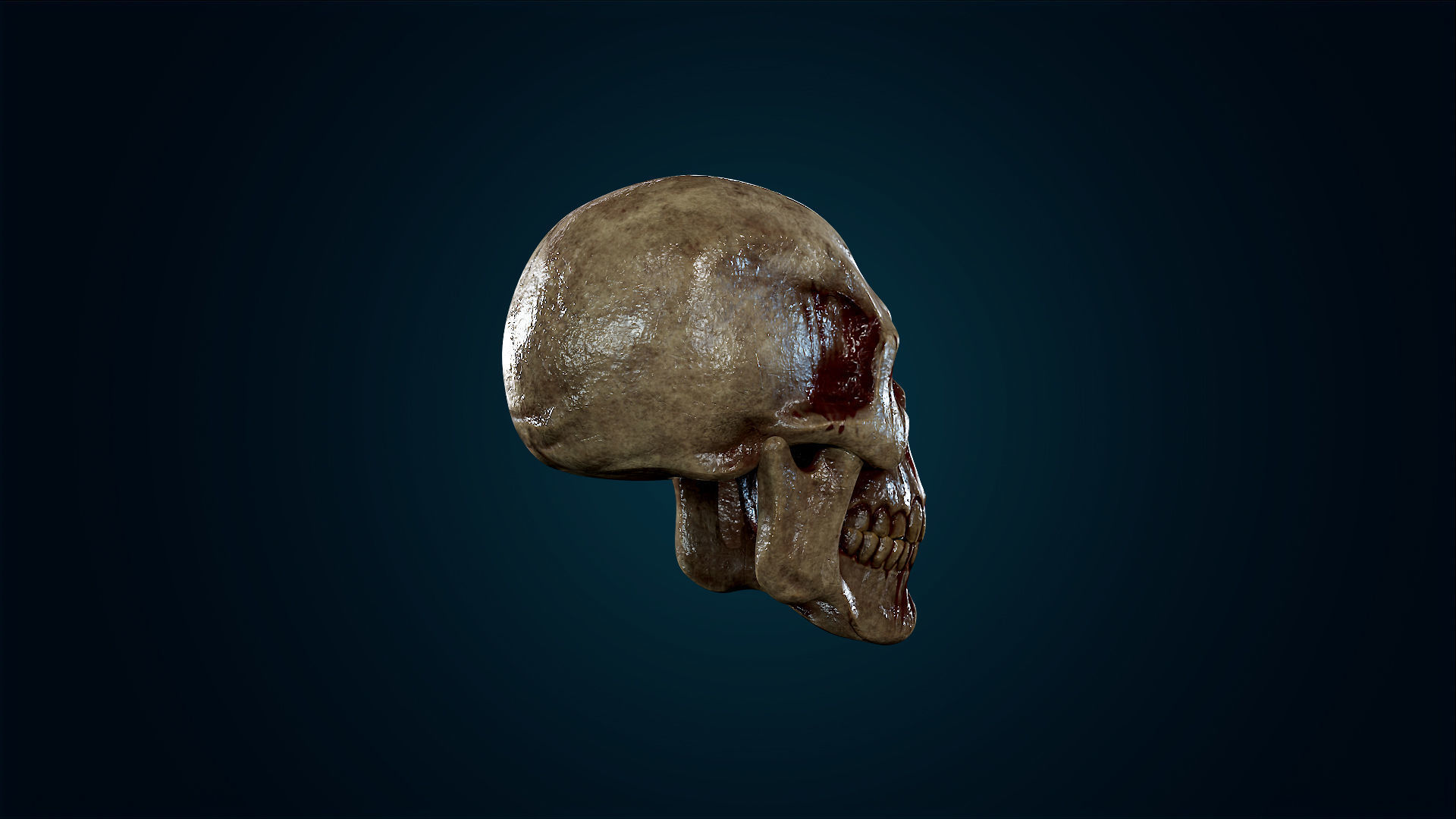Human Skeleton Skull - Bloody - Lowpoly - Game Ready Low-poly 3D model_9