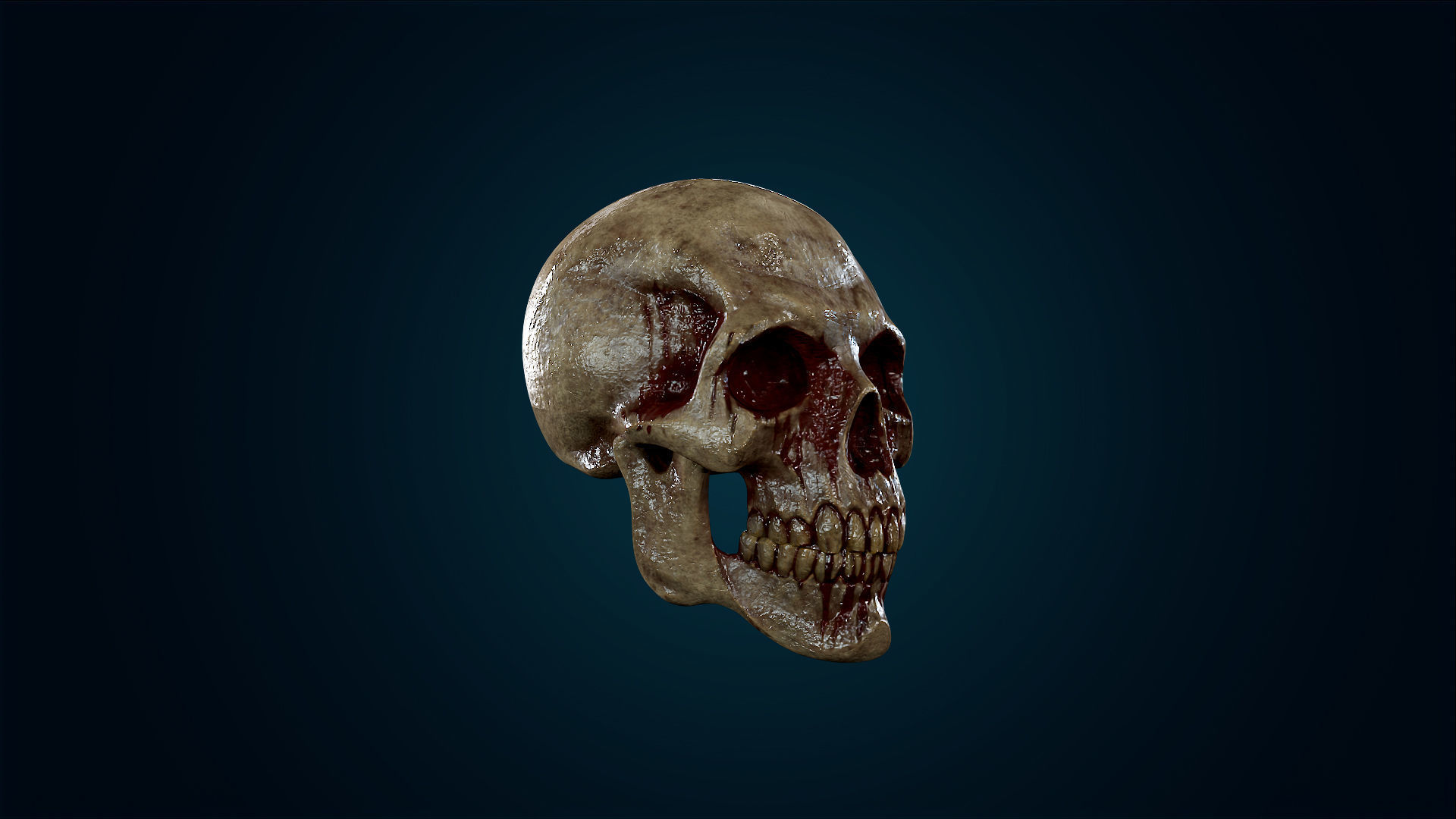 Human Skeleton Skull - Bloody - Lowpoly - Game Ready Low-poly 3D model_6