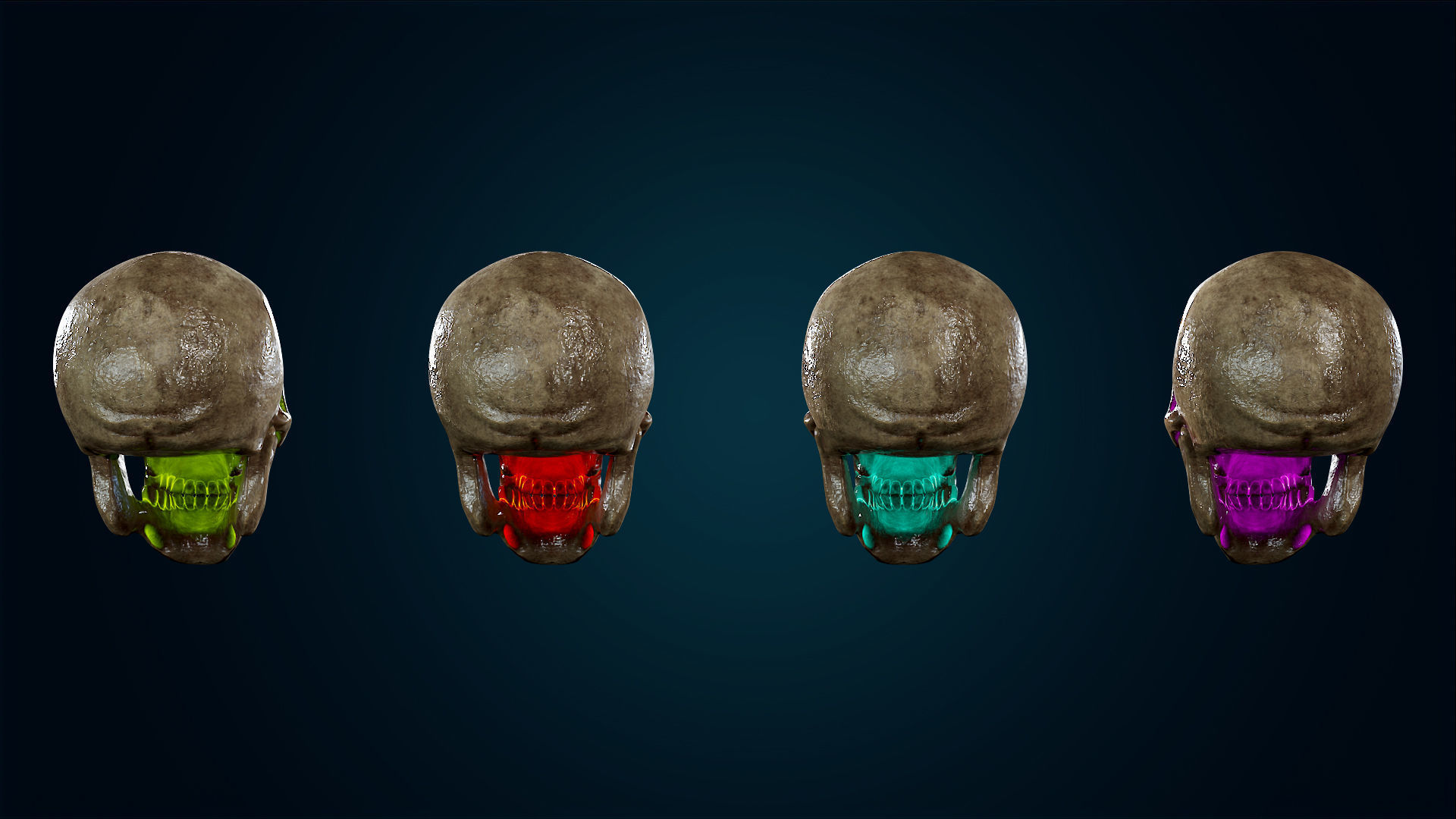 Human Skeleton Skull - Bloody - Lowpoly - Game Ready Low-poly 3D model_24