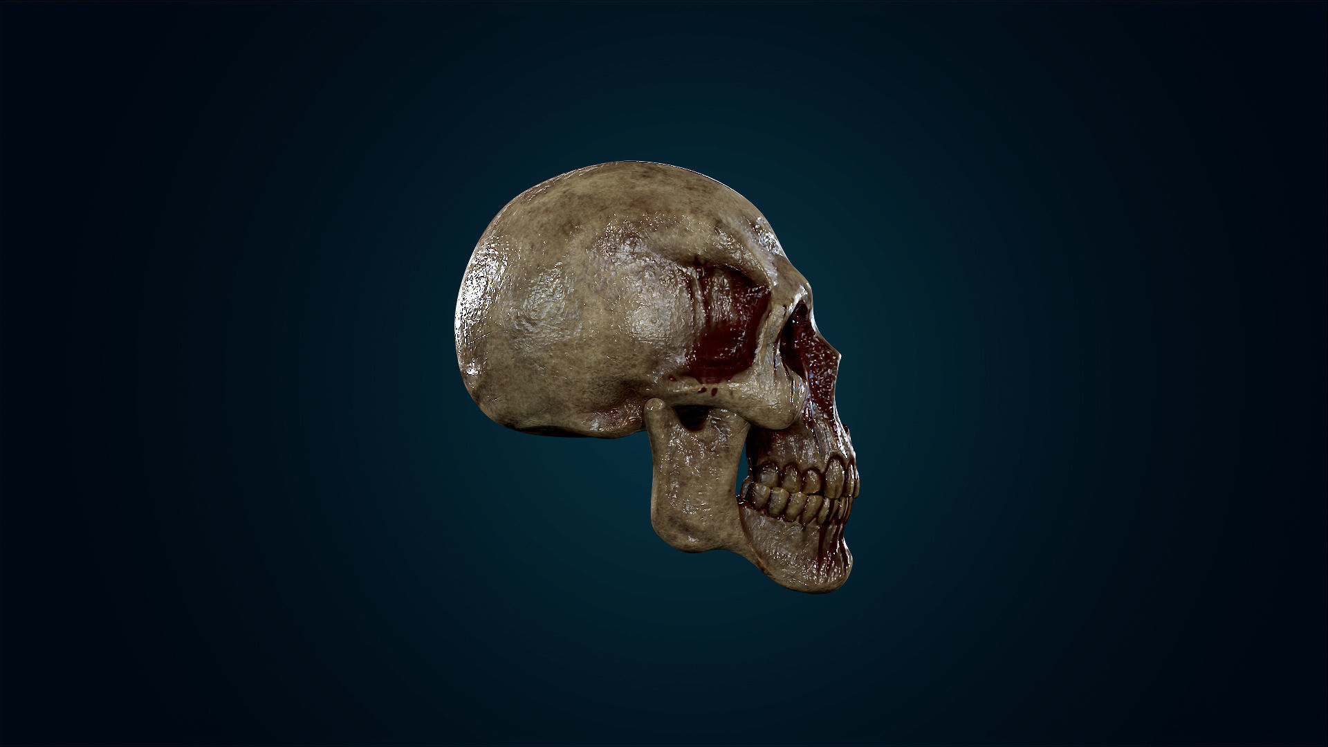 Human Skeleton Skull - Bloody - Lowpoly - Game Ready Low-poly 3D model_8