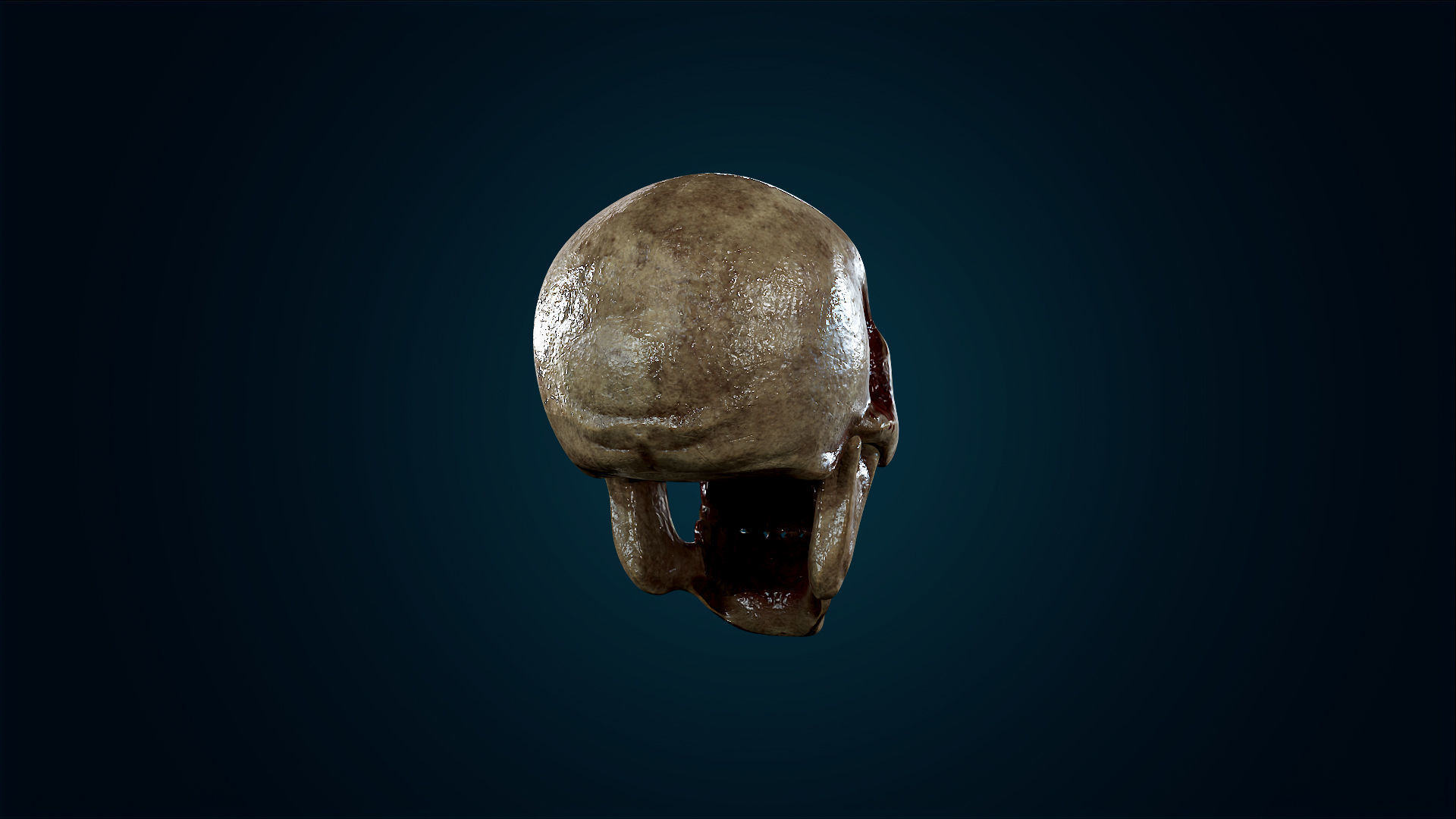 Human Skeleton Skull - Bloody - Lowpoly - Game Ready Low-poly 3D model_11