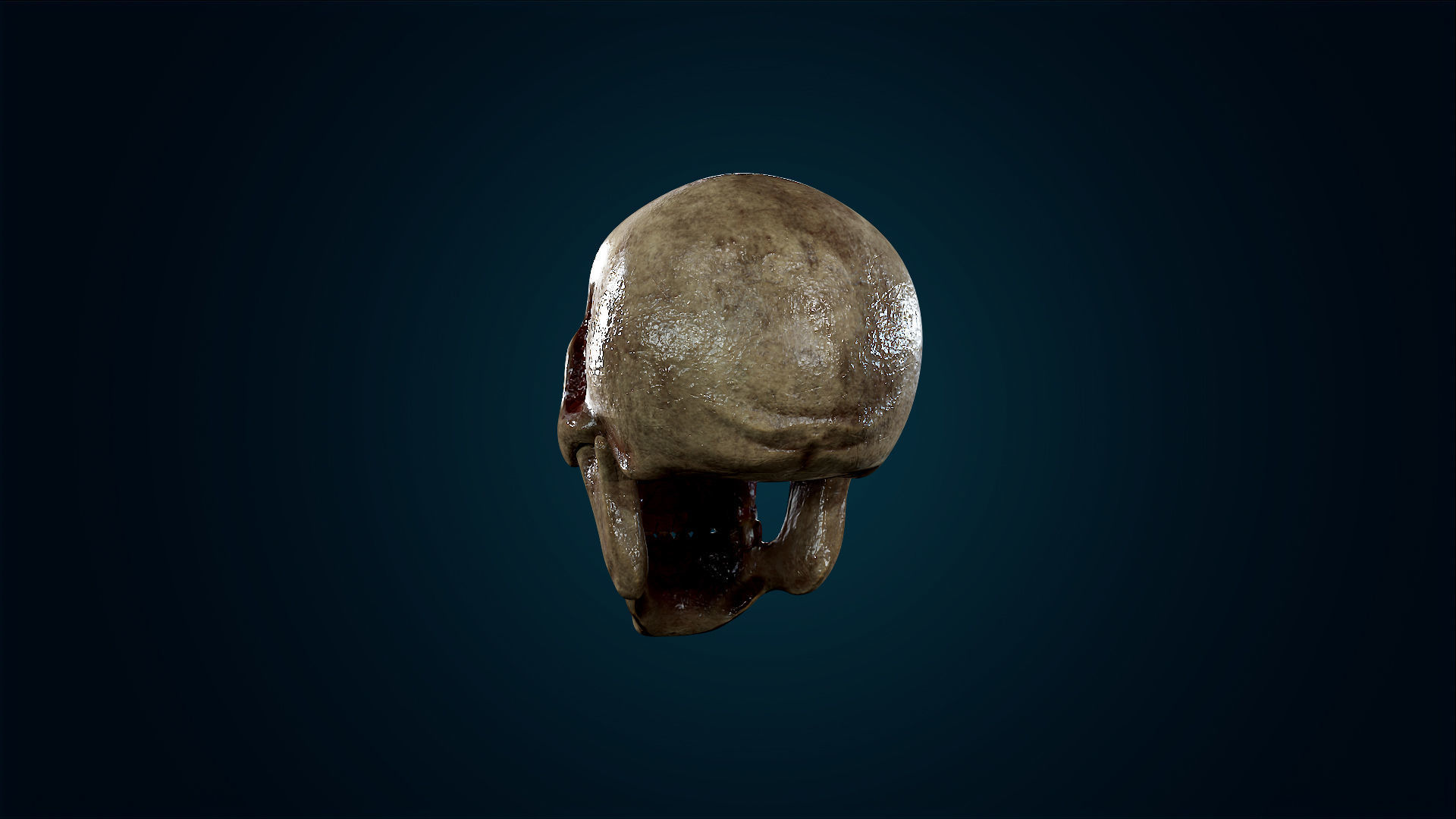 Human Skeleton Skull - Bloody - Lowpoly - Game Ready Low-poly 3D model_13