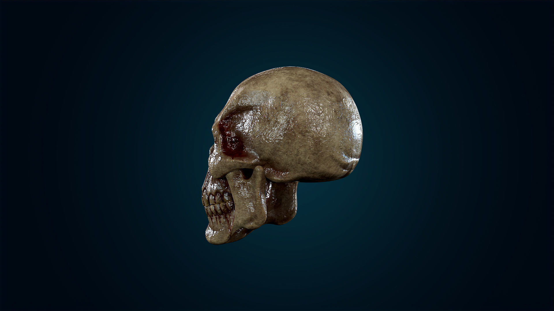 Human Skeleton Skull - Bloody - Lowpoly - Game Ready Low-poly 3D model_15