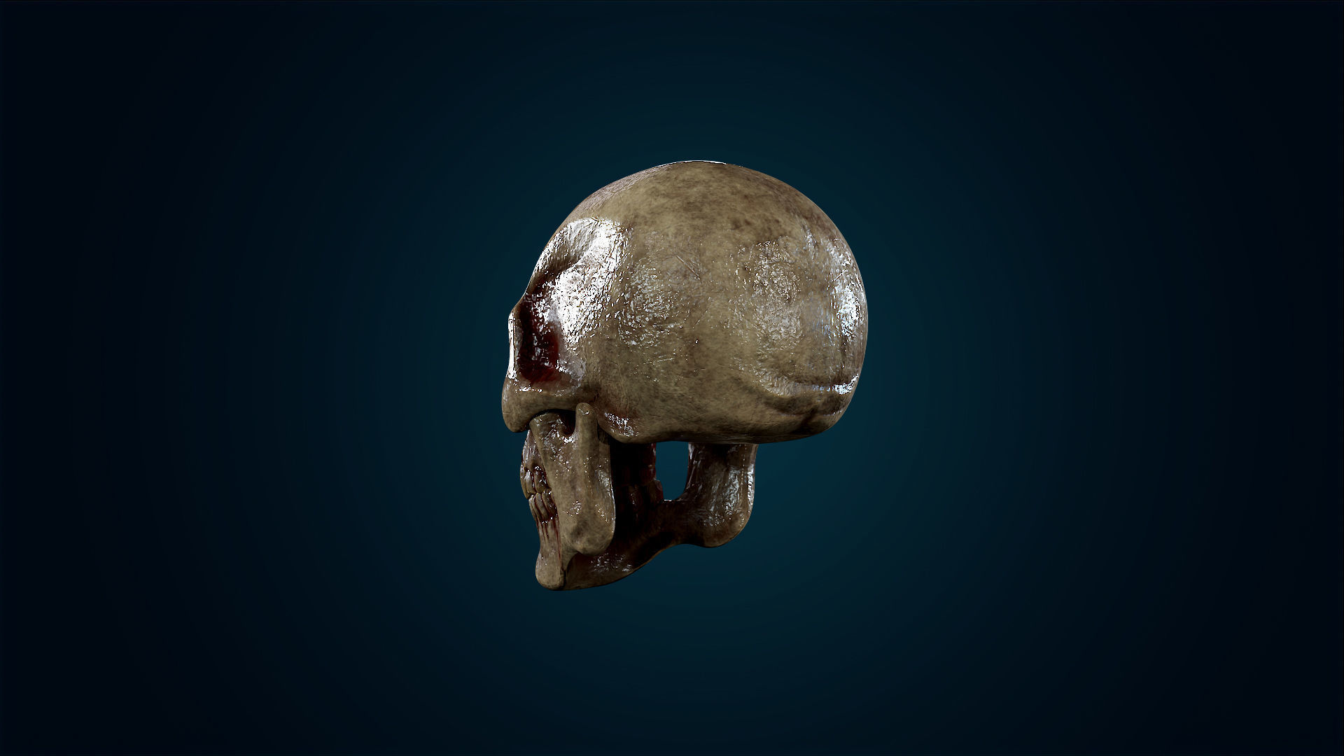 Human Skeleton Skull - Bloody - Lowpoly - Game Ready Low-poly 3D model_14