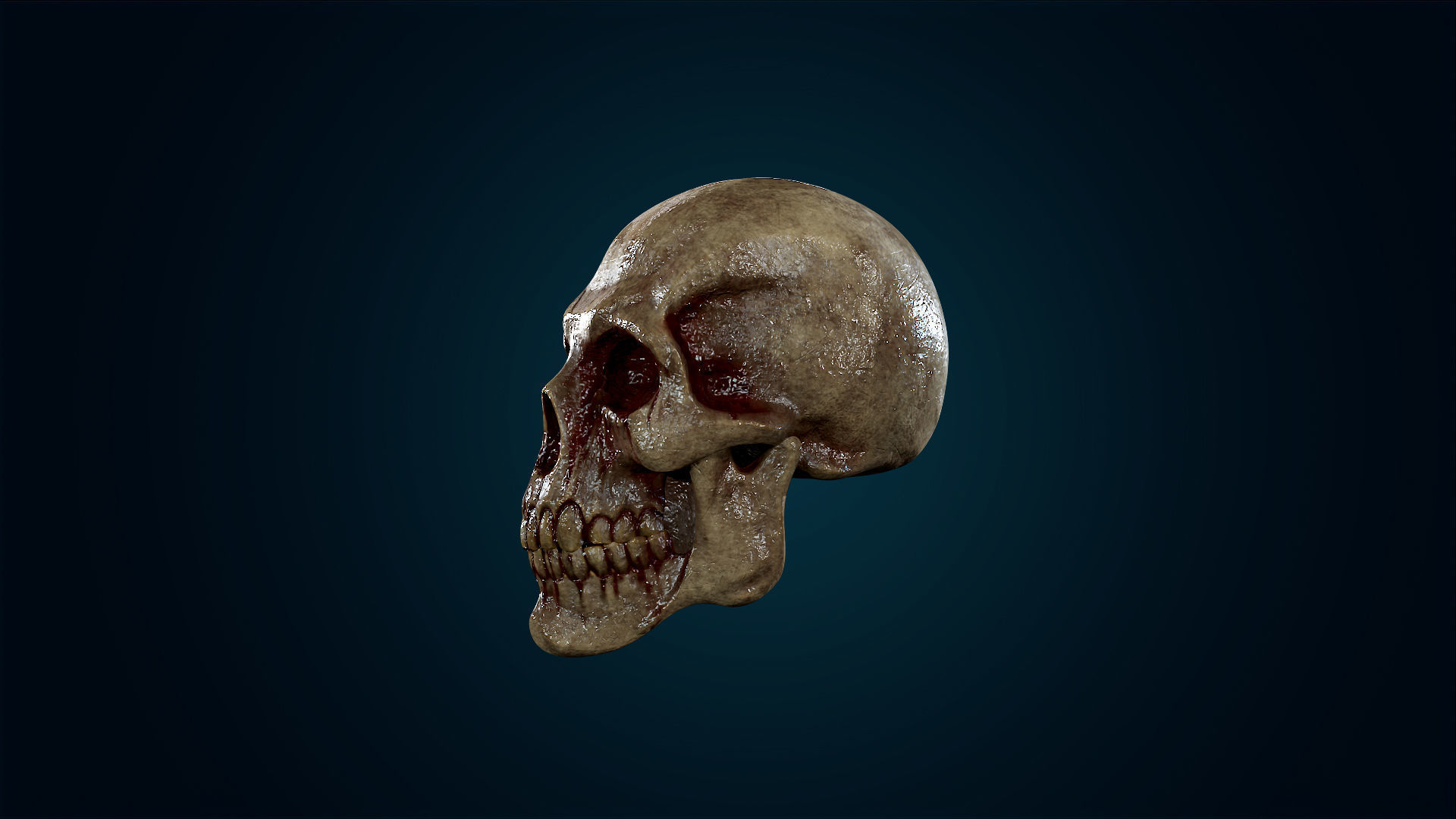 Human Skeleton Skull - Bloody - Lowpoly - Game Ready Low-poly 3D model_17