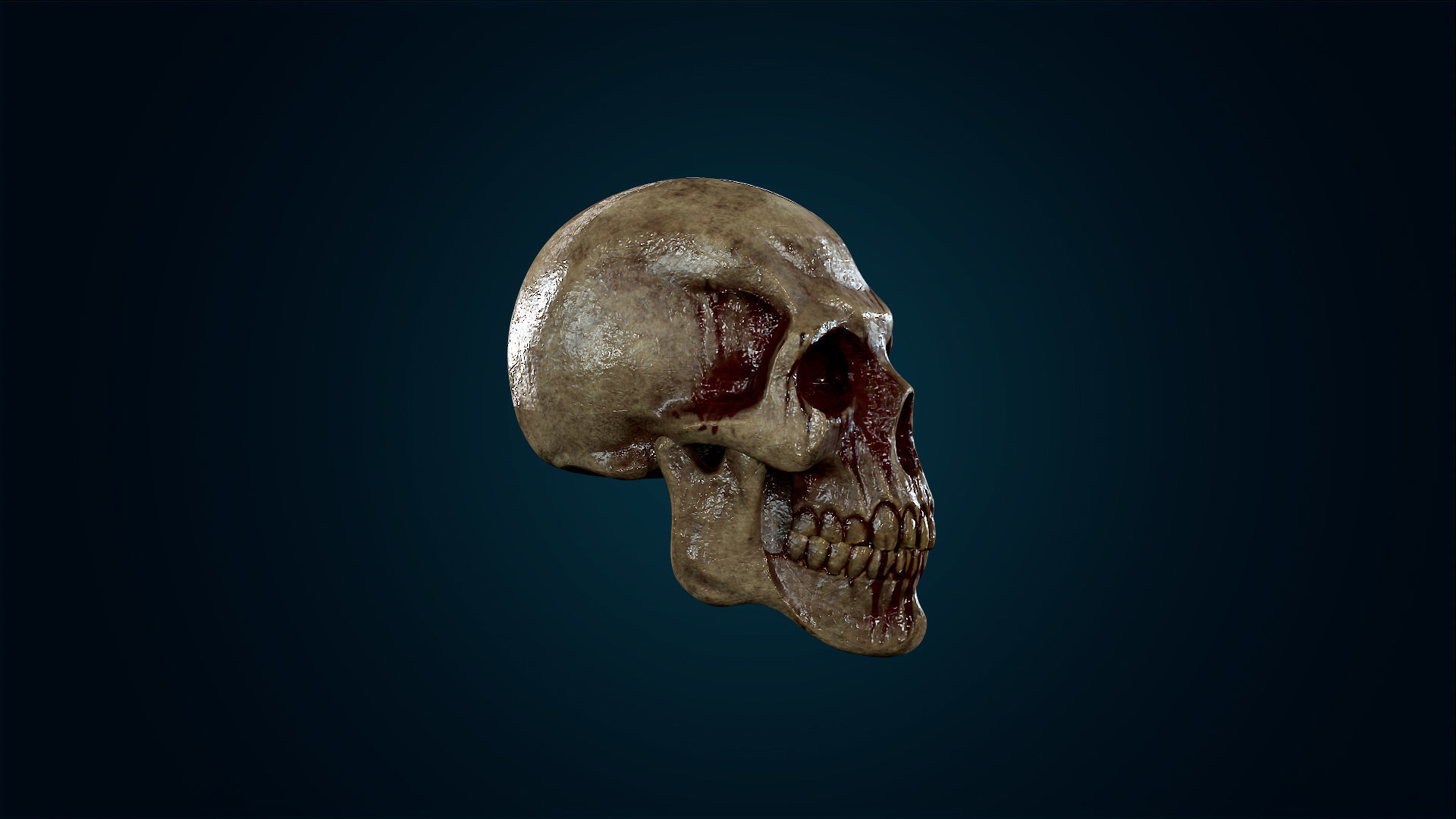 Human Skeleton Skull - Bloody - Lowpoly - Game Ready Low-poly 3D model_7
