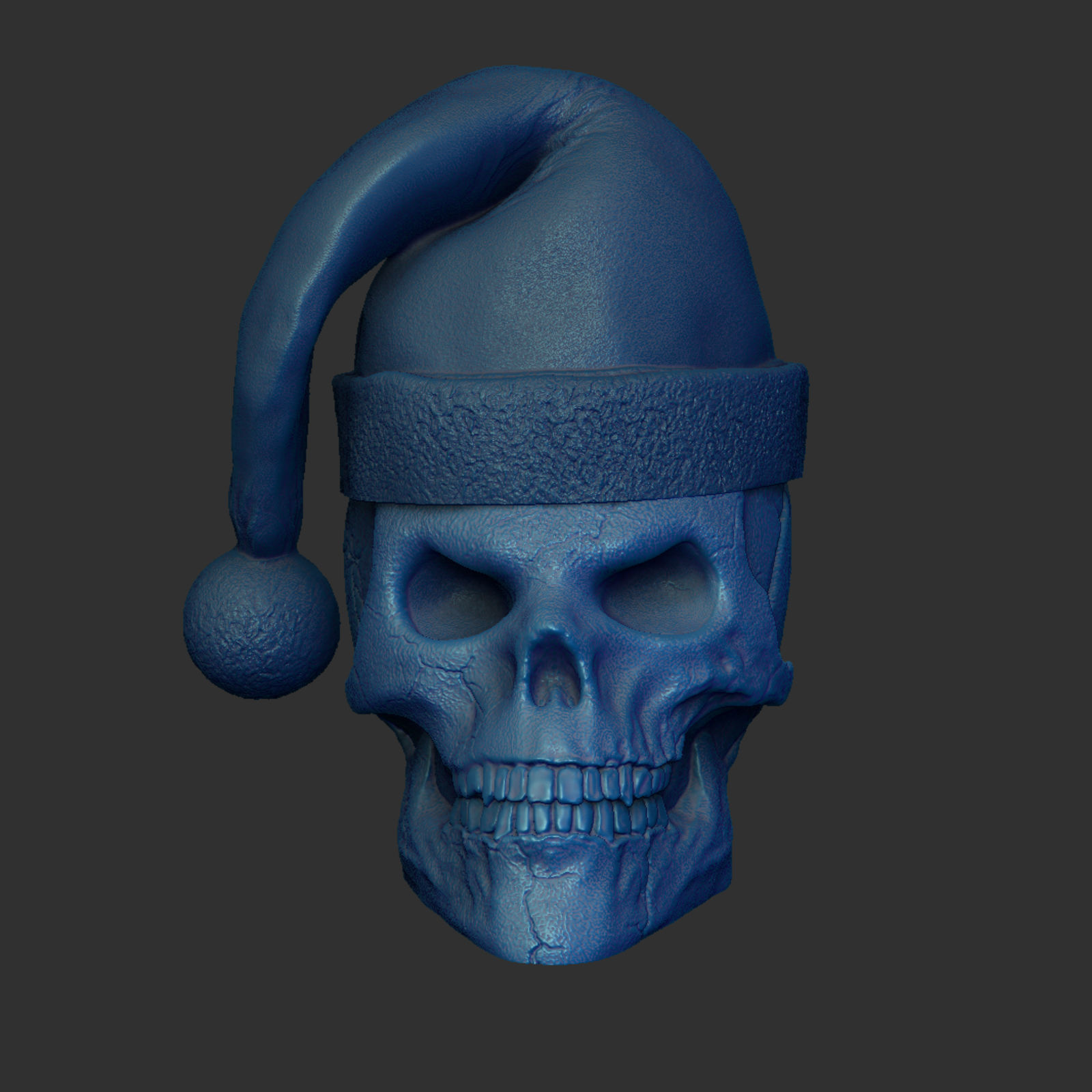 Skull with Christmas Cap 3D print model_10