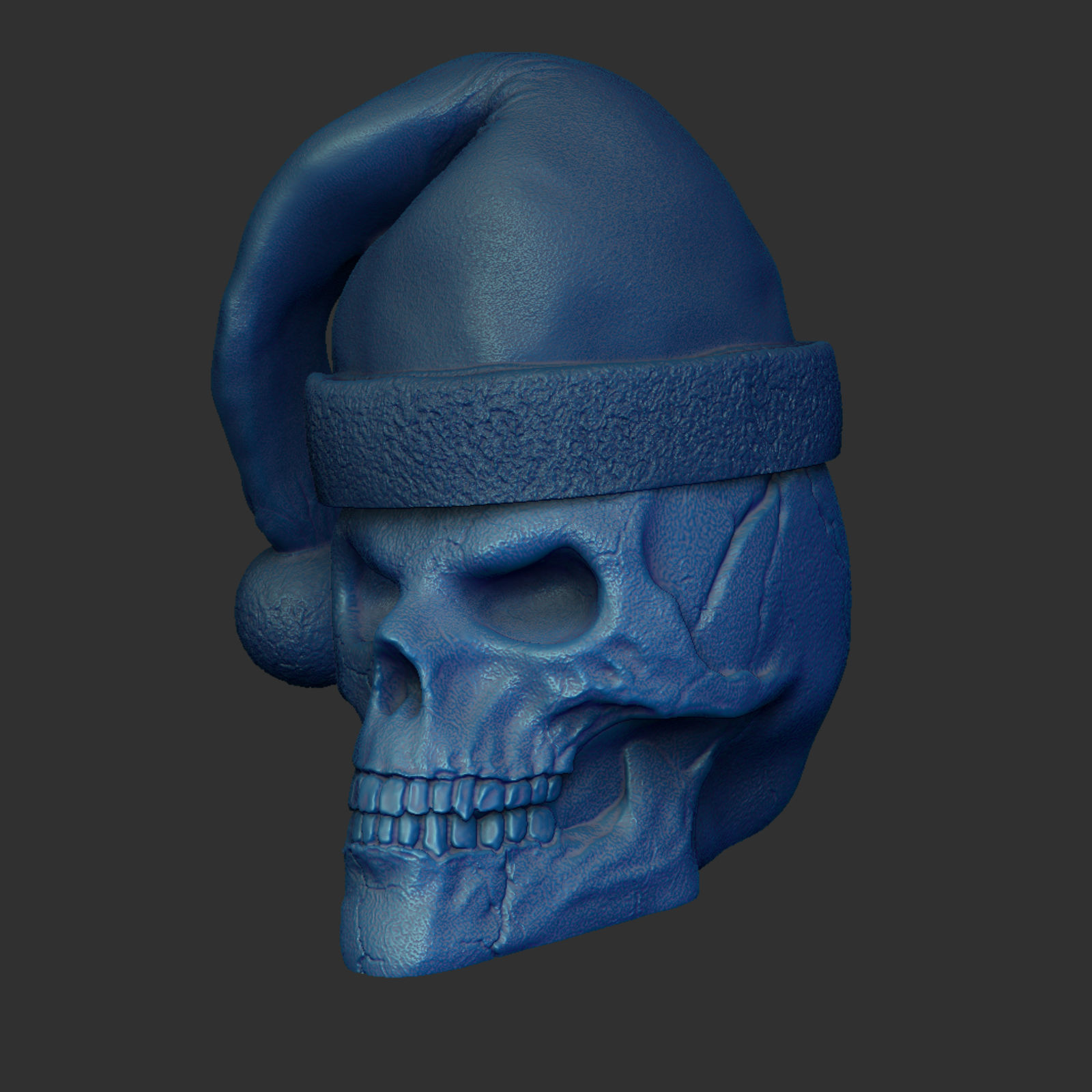 Skull with Christmas Cap 3D print model_7