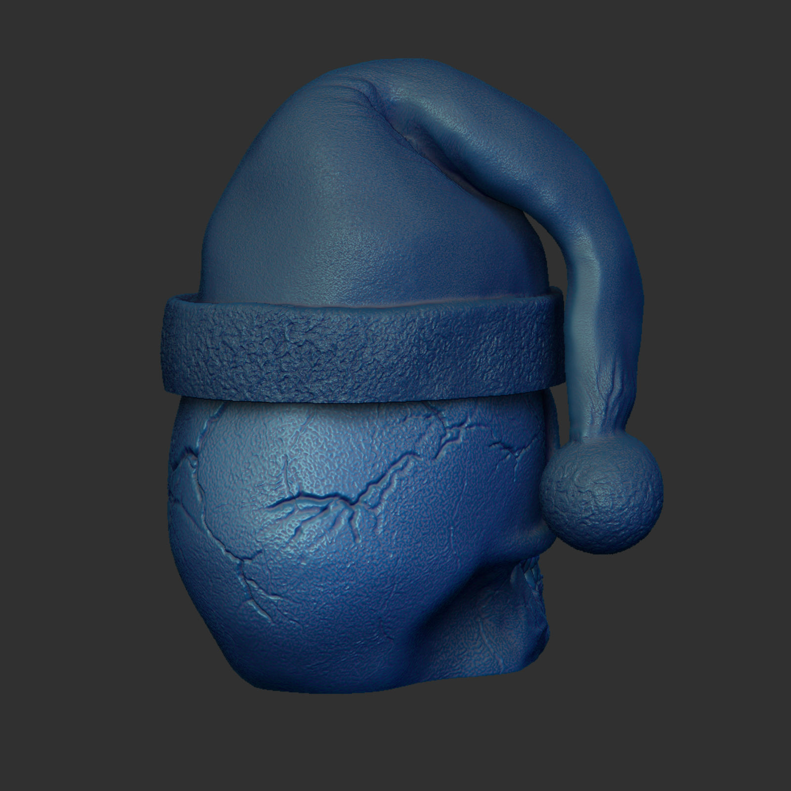 Skull with Christmas Cap 3D print model_8
