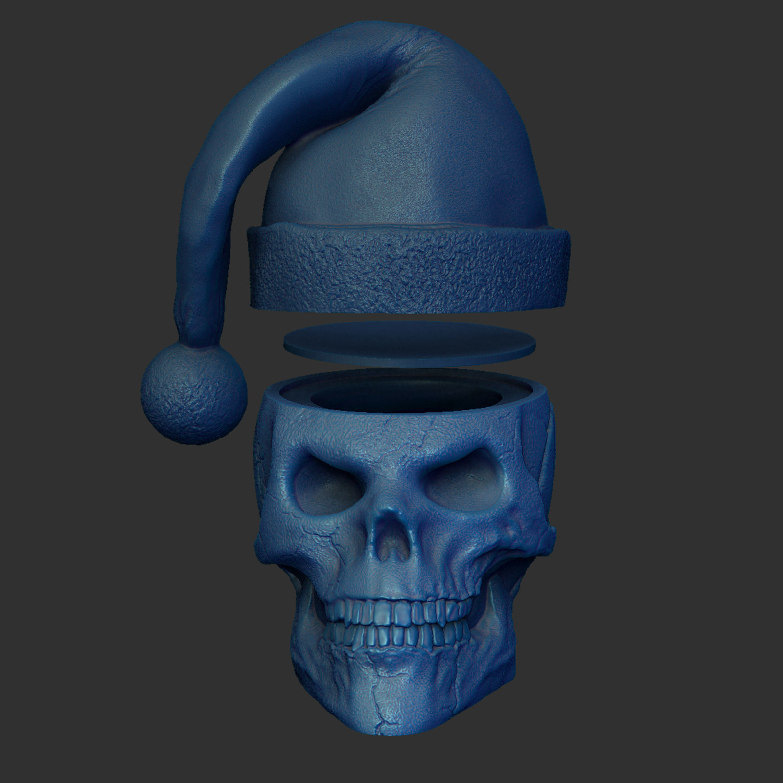 Skull with Christmas Cap 3D print model_1