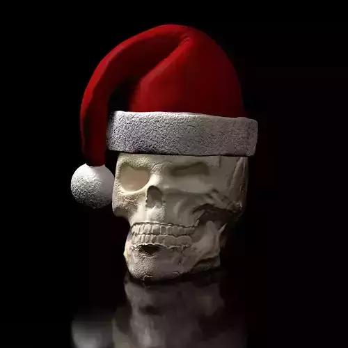 Skull with Christmas Cap 3D print model Skull with Christmas Cap 3D print model