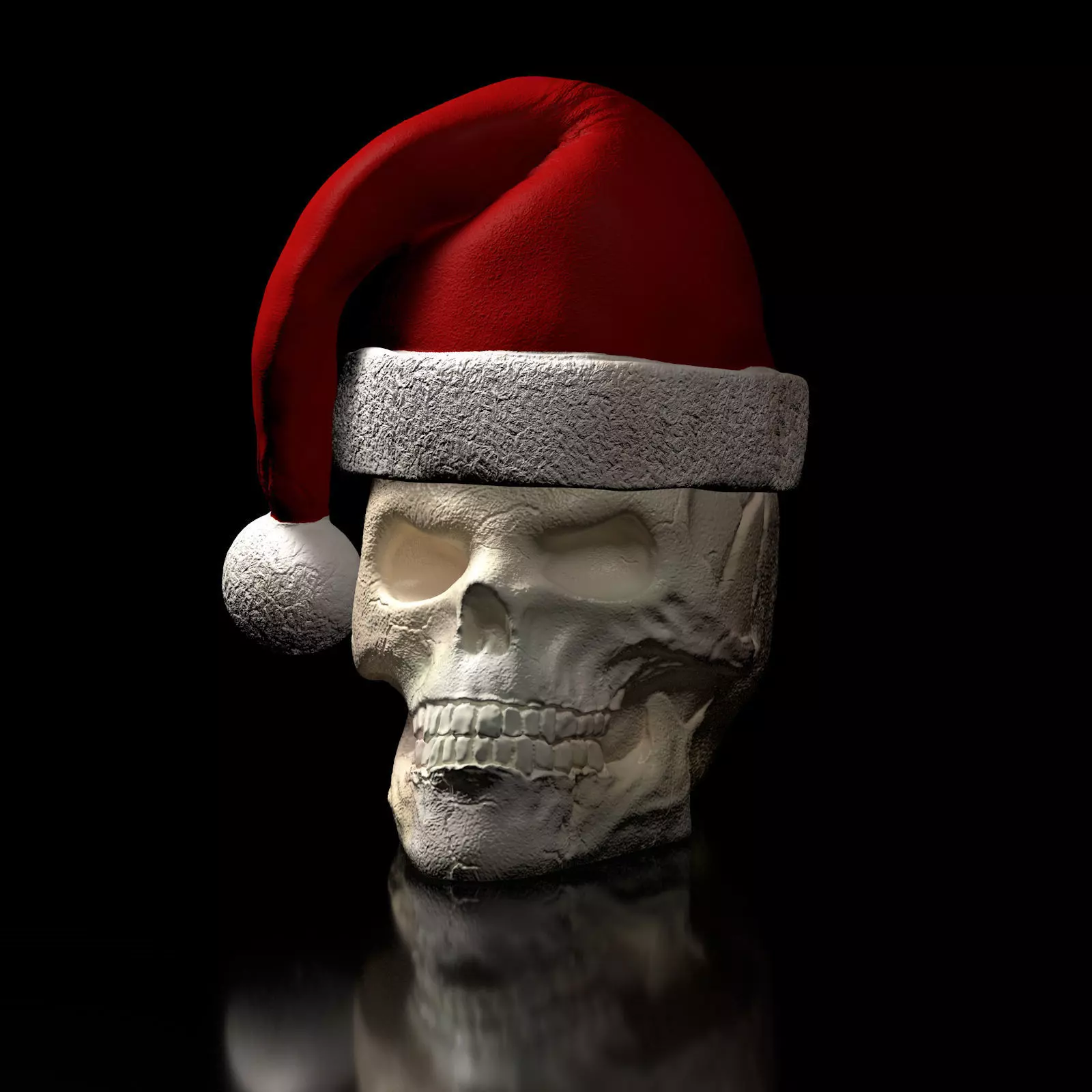 Skull with Christmas Cap 3D print model_0