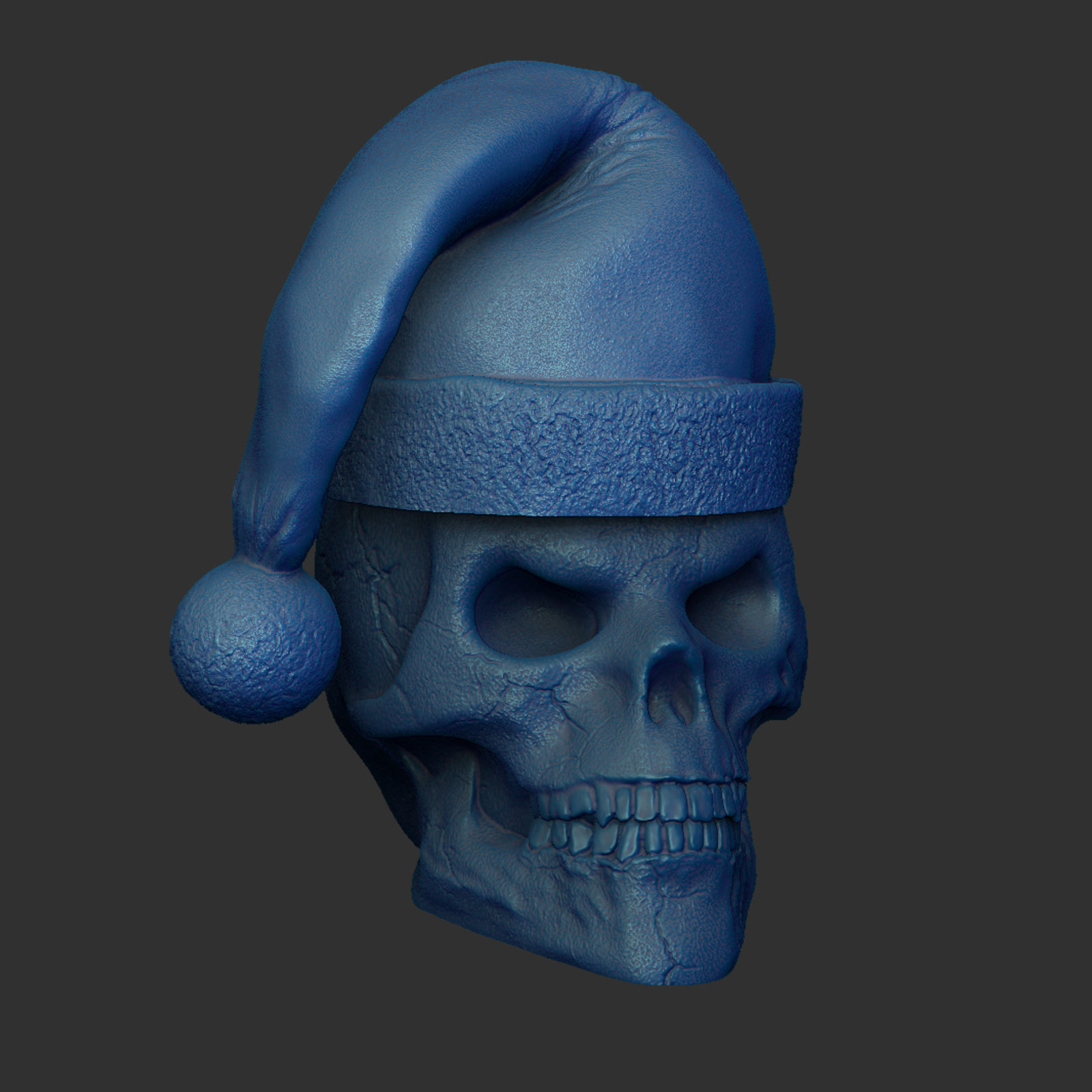 Skull with Christmas Cap 3D print model_6