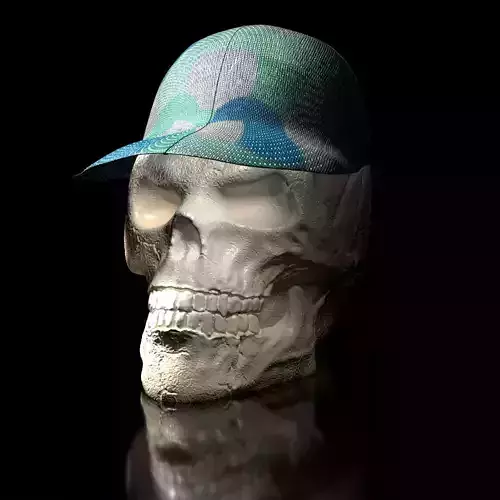 Skull with Basecup Hat hollow inside 3D print model