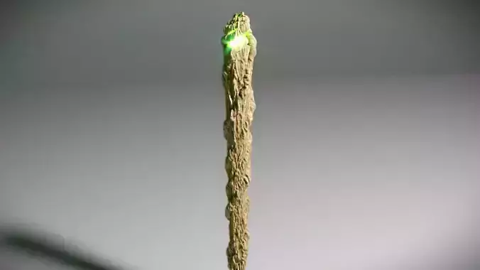 Magic Wood Nature Staff Wand