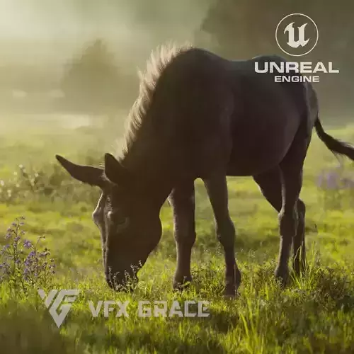 Donkey Summer UE Character Asset 3D model