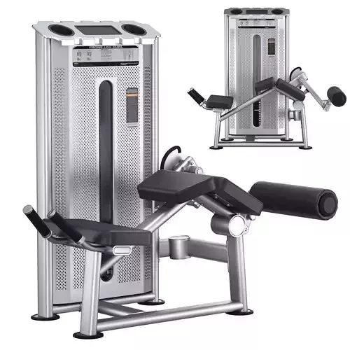 U-2001 Prone Leg Cur