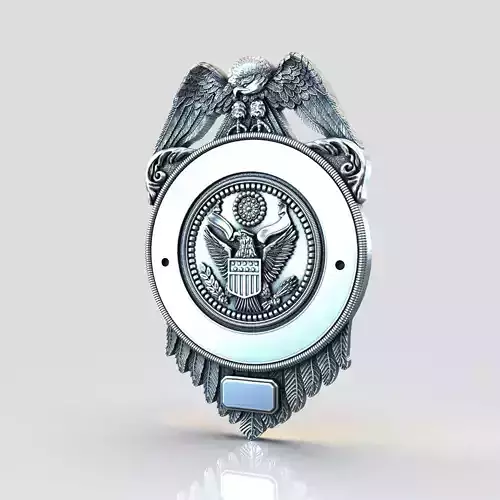 District Badge 3D print model