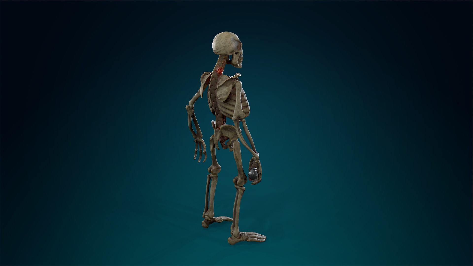 Skeleton Undead Warrior Default - Lowpoly - Game Ready Low-poly 3D model_9