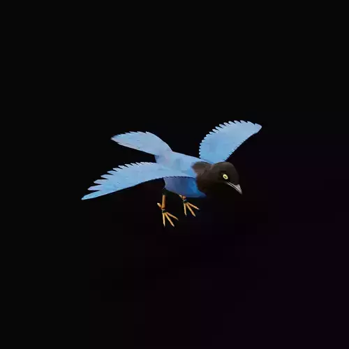Purplish-Backed Jay Bird Low-poly 3D model