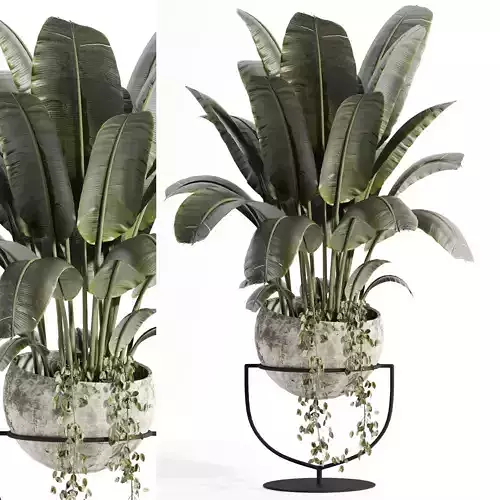 indoor plant set 02