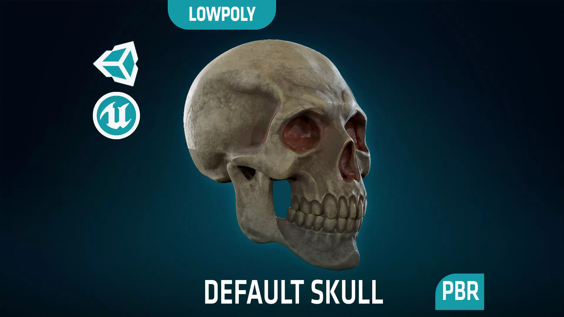 Human Skeleton Skull - Default - Lowpoly - Game Ready Low-poly 3D model