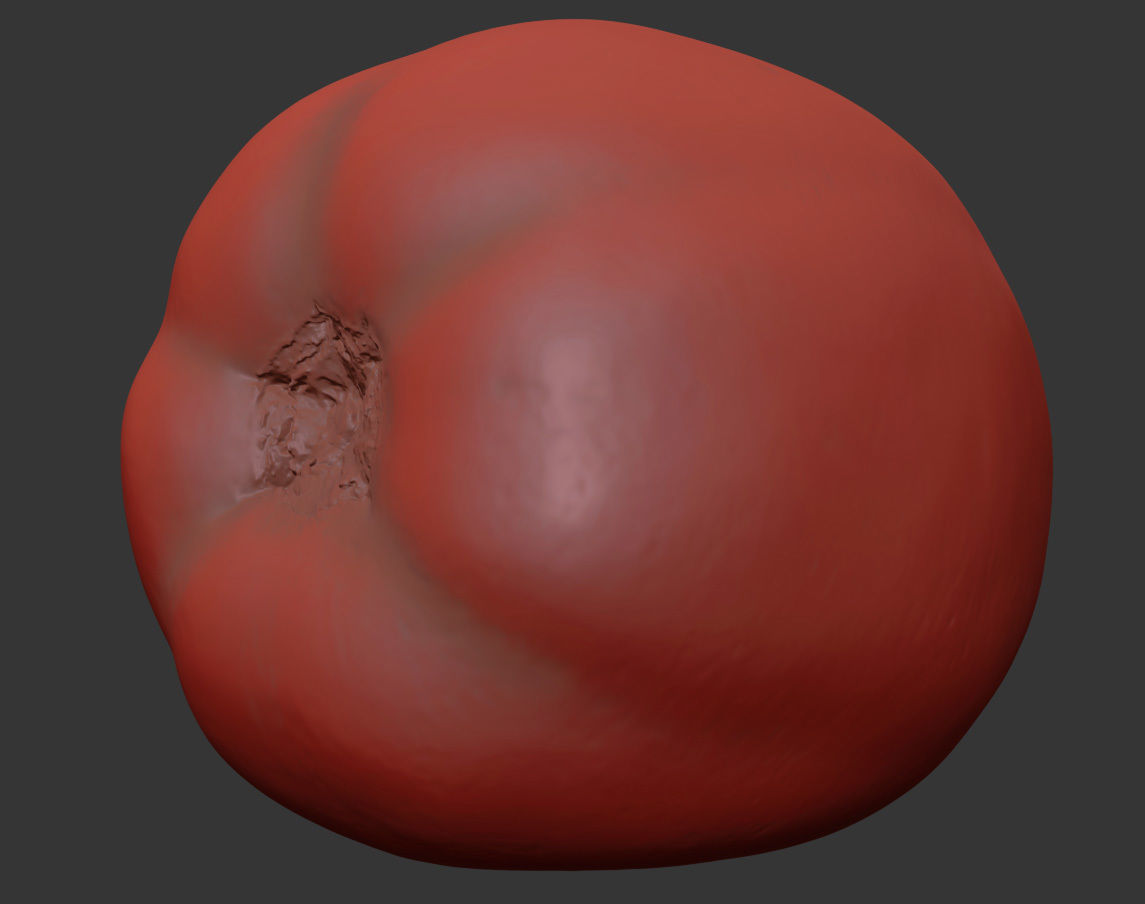 Tomato 3D model_7