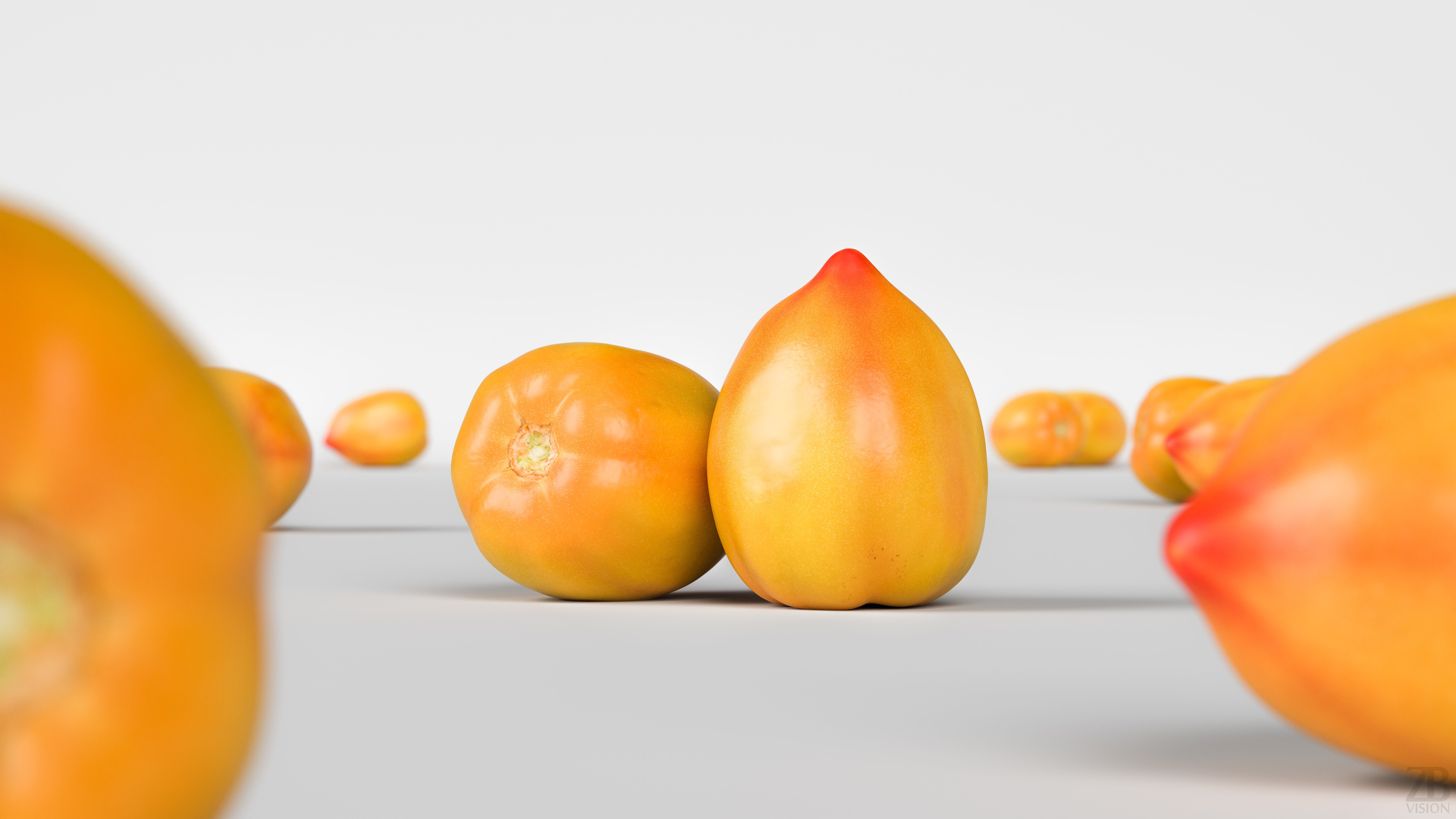 Tomato 3D model_1