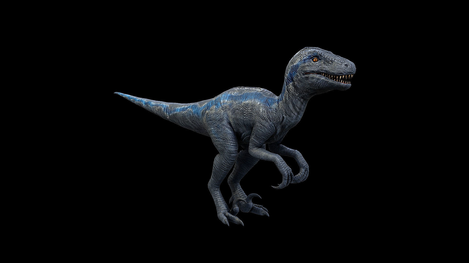 3D model Blue Raptor - Velociraptor VR / AR / low-poly | CGTrader