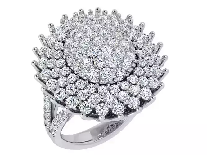 Oval Cluster Ring 4619