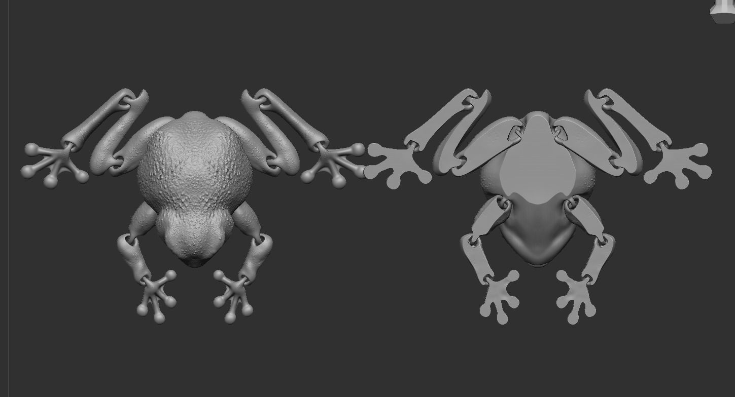 3D printable frog 3D print model_2