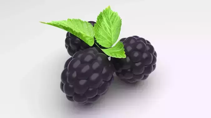 Raspberries With Leaves