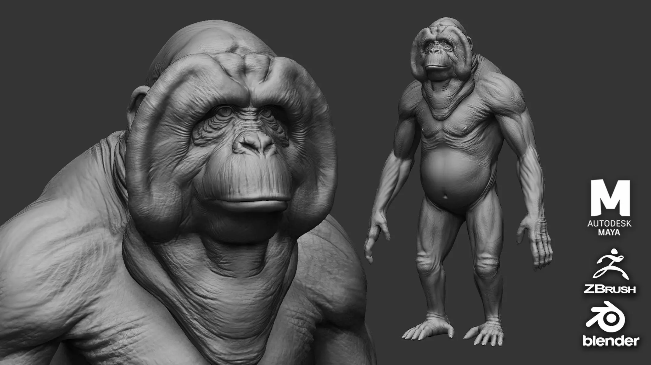 Orangutan  3D model_0