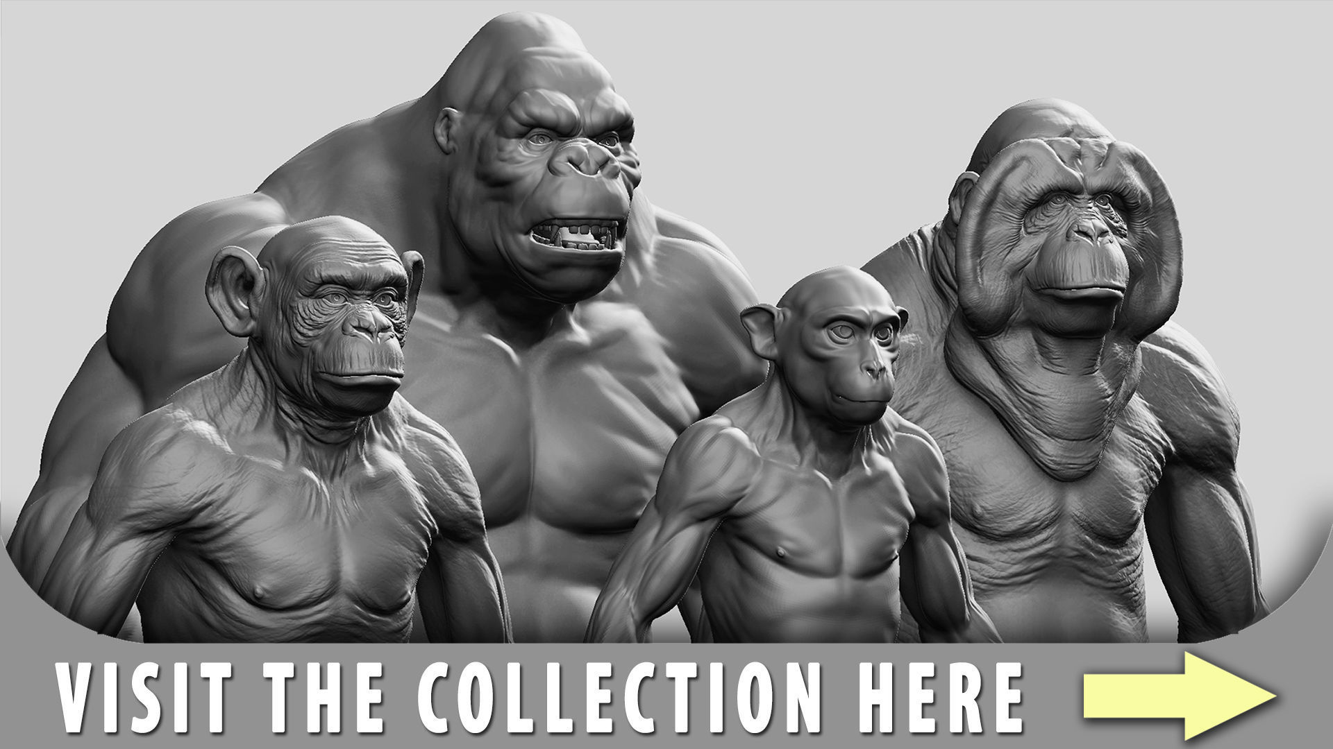 Orangutan  3D model_10