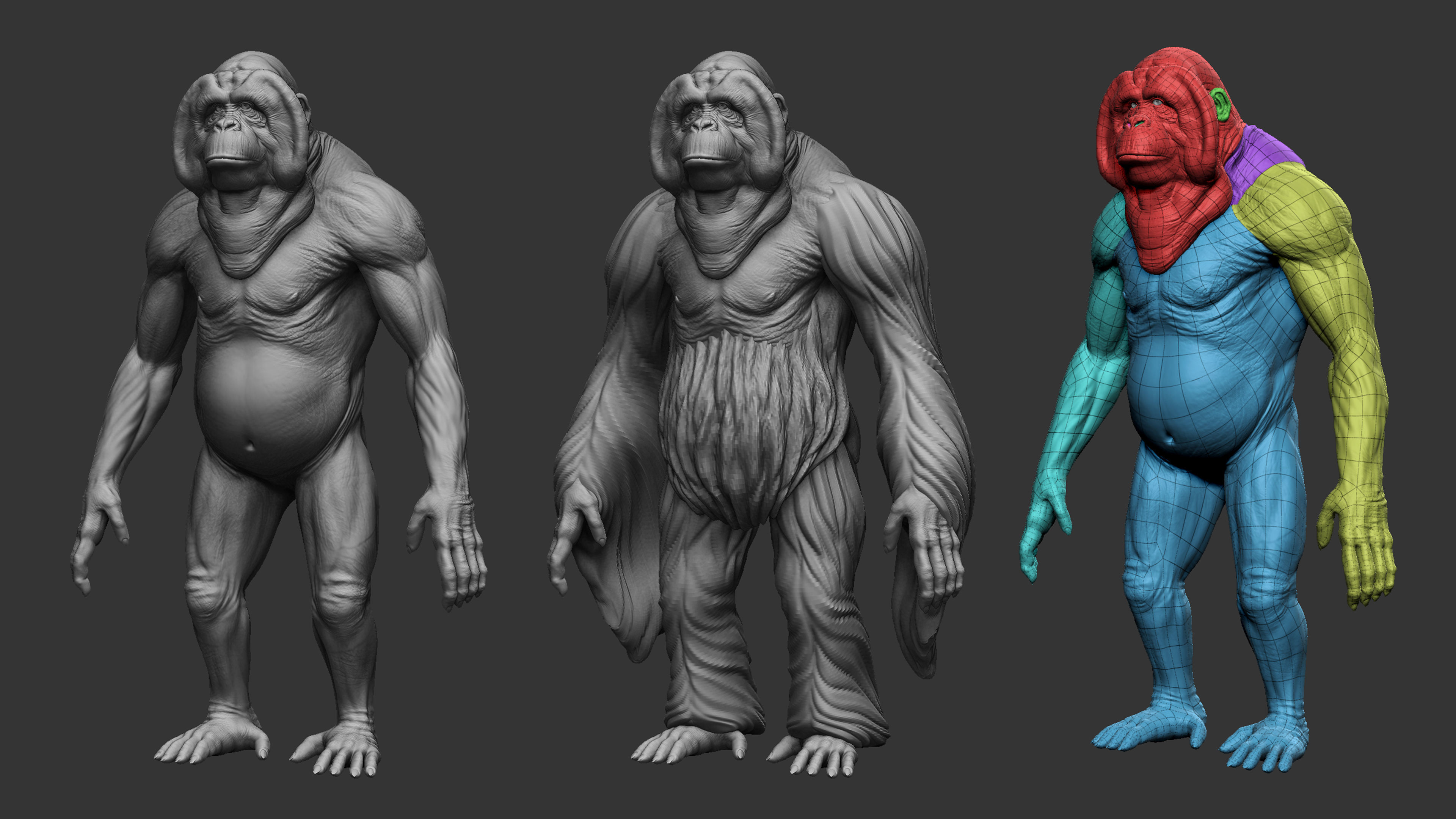 Orangutan  3D model_4