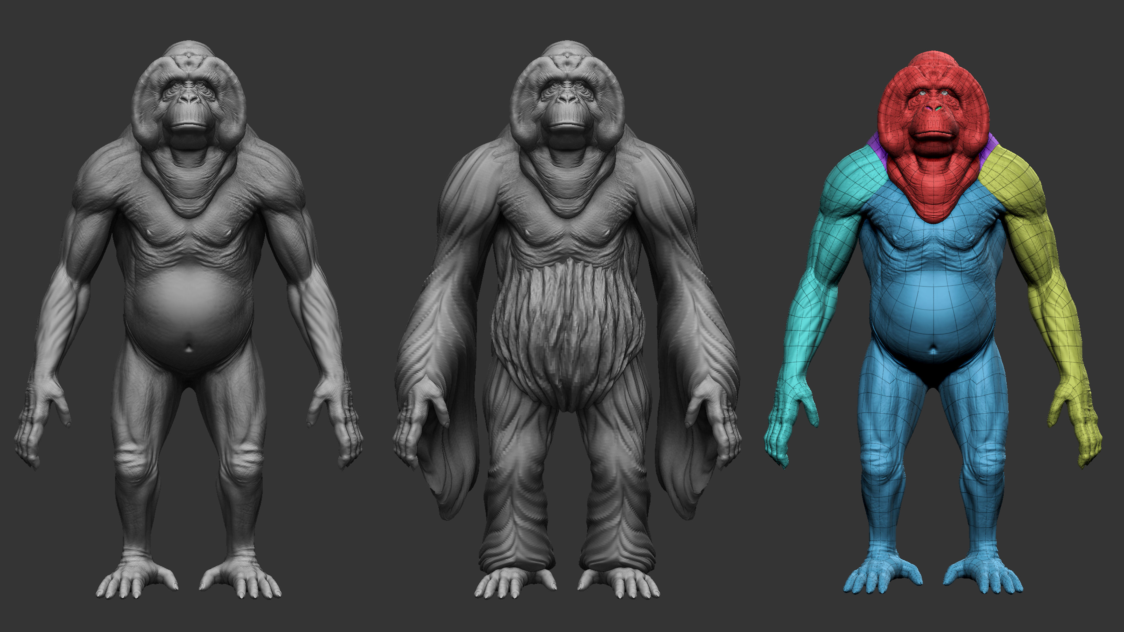 Orangutan  3D model_3