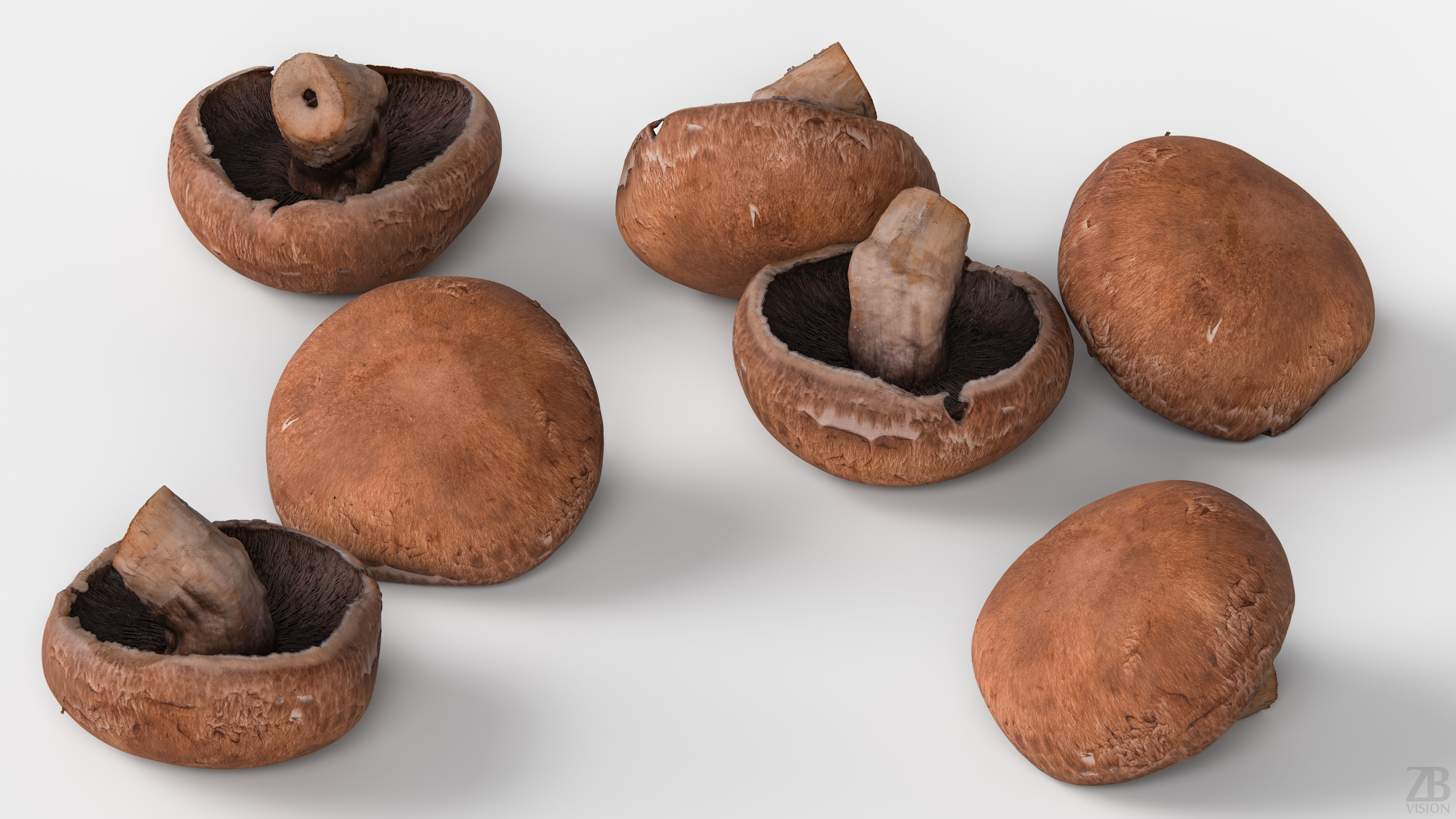Mushroom 3D model_2