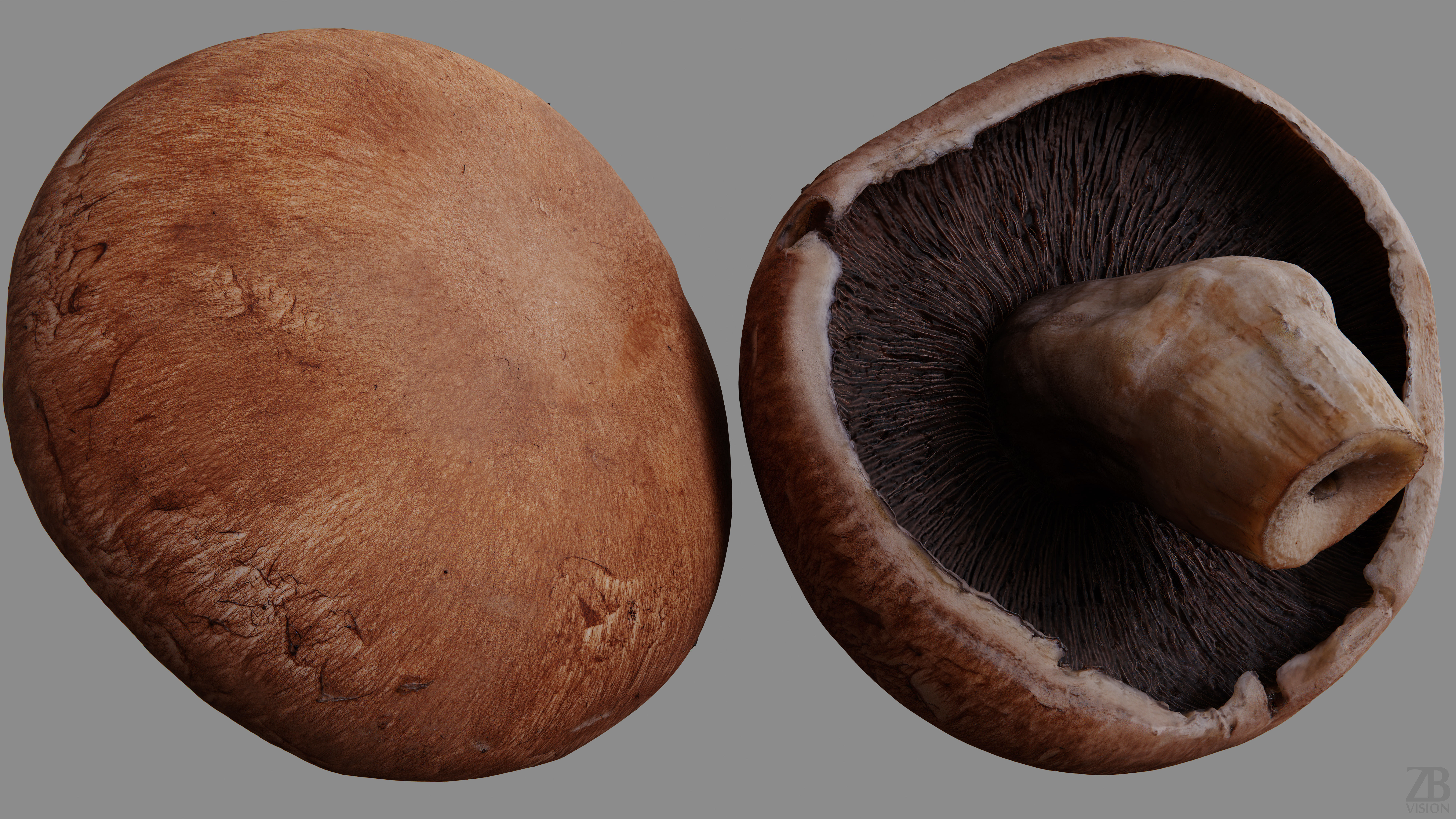 Mushroom 3D model_8
