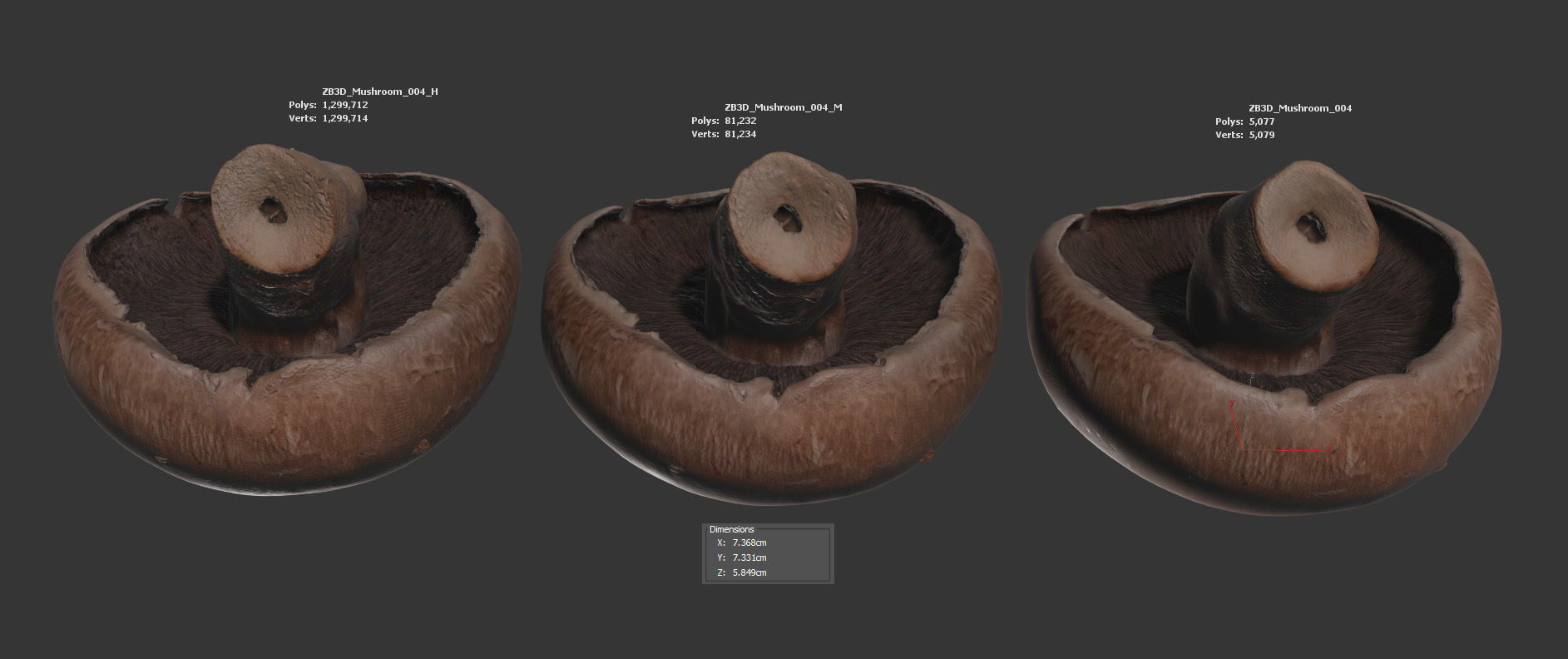 Mushroom 3D model_5